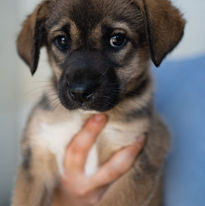 0de81147-4821-4578-b725-8ee388f88e95.jfif