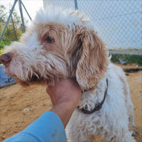 e05aa3d7-e71d-4c51-8a66-90ec0e71ac96.jfif