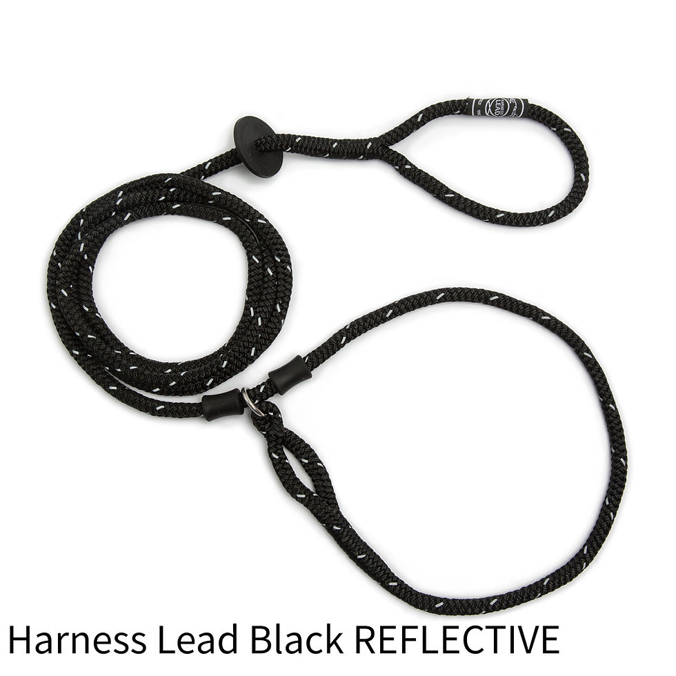 Thumbnail: Harness Lead