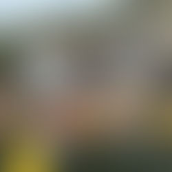 Actividades con Niños en la Costa da Morte: Kayak y Paddle Surf en Ézaro con Atlantis Aventura