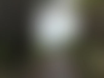 Aventuras en Atlantis Ézaro: Descubre Atlantis Aventura al límite