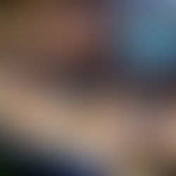 How to stay active aboard the Eurodam; plus 2025 presentations now available!