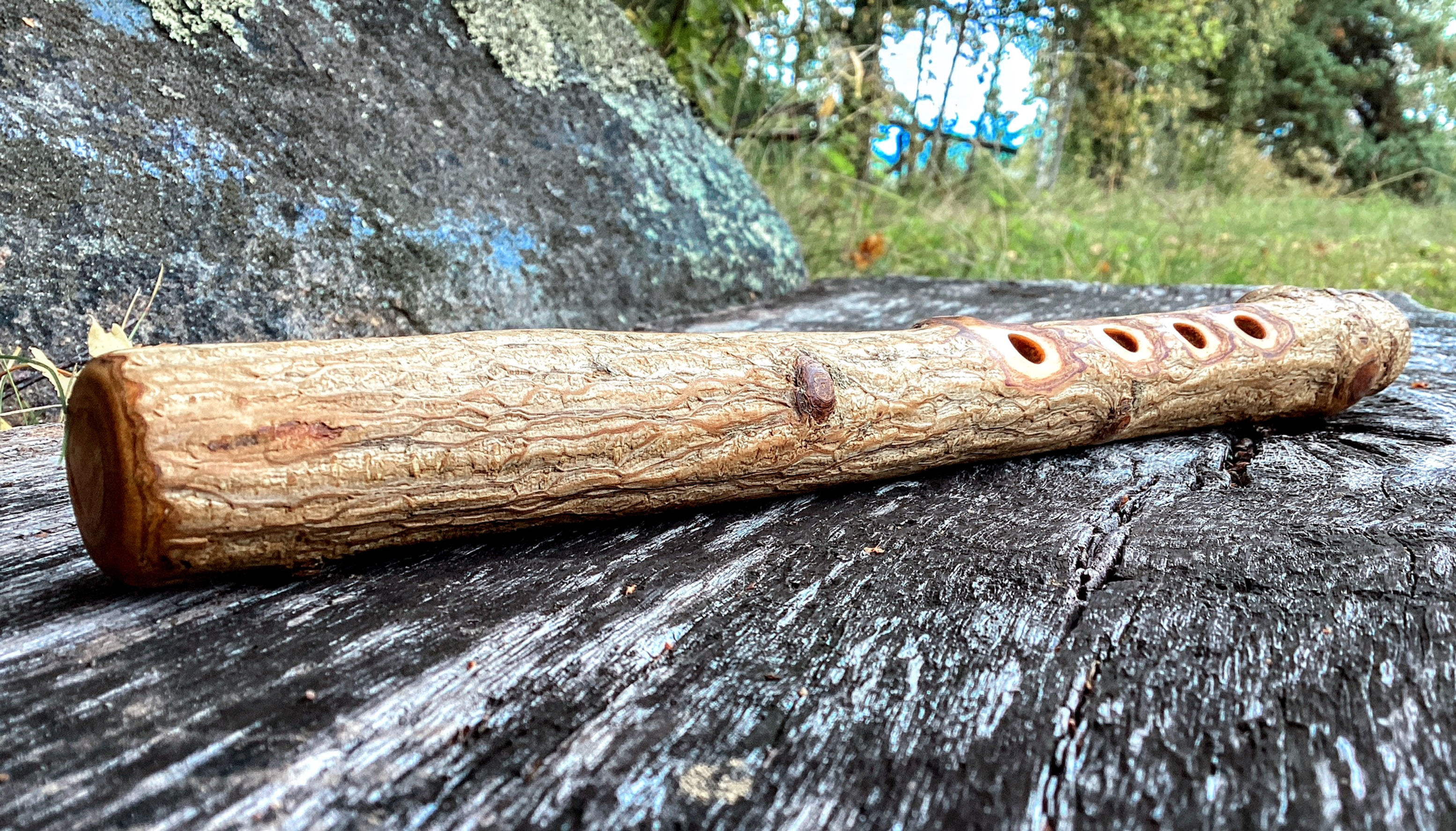 Elderberry in high B minor / SOLD!