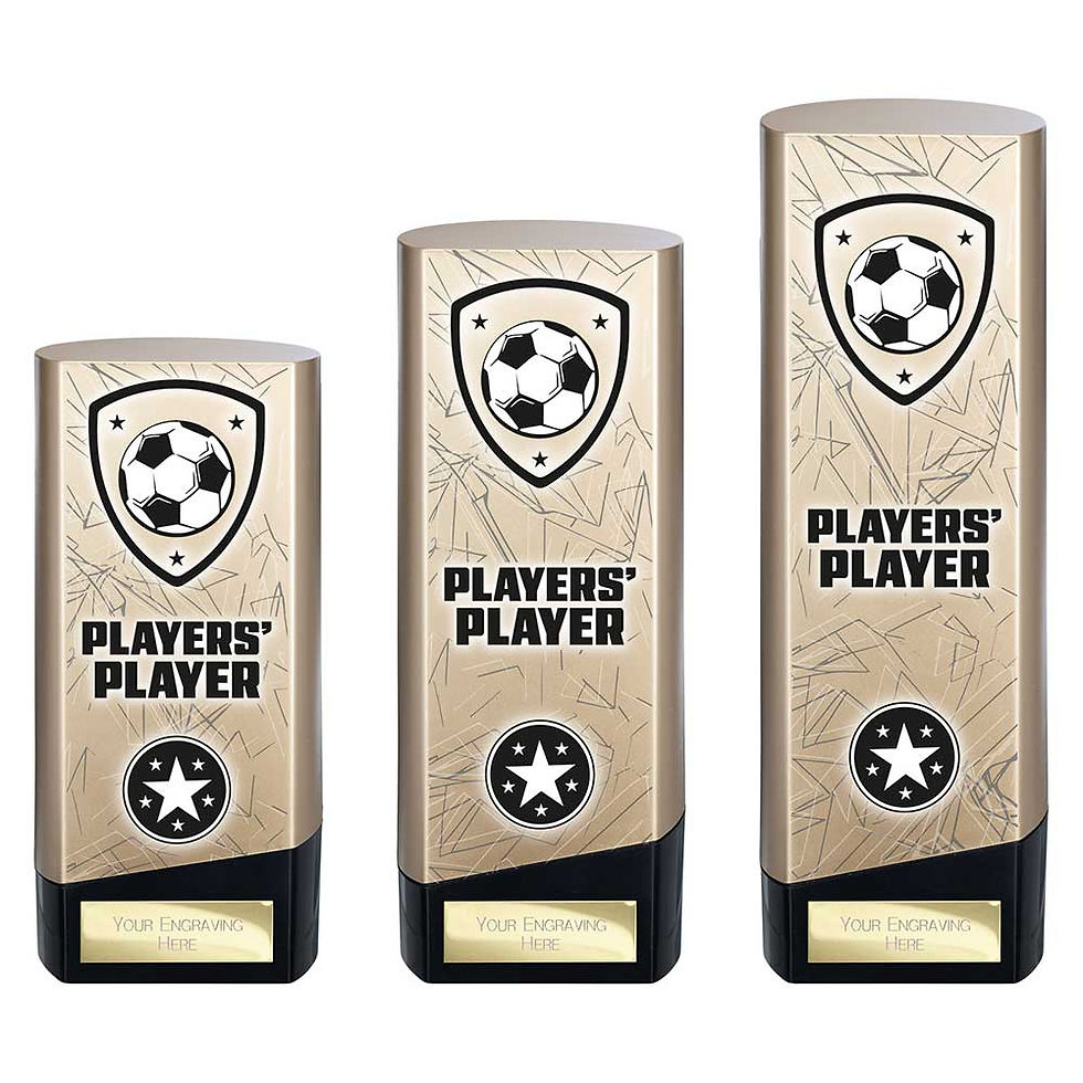 Thumbnail: Prime Heavyweight - Players' Player of the Year
