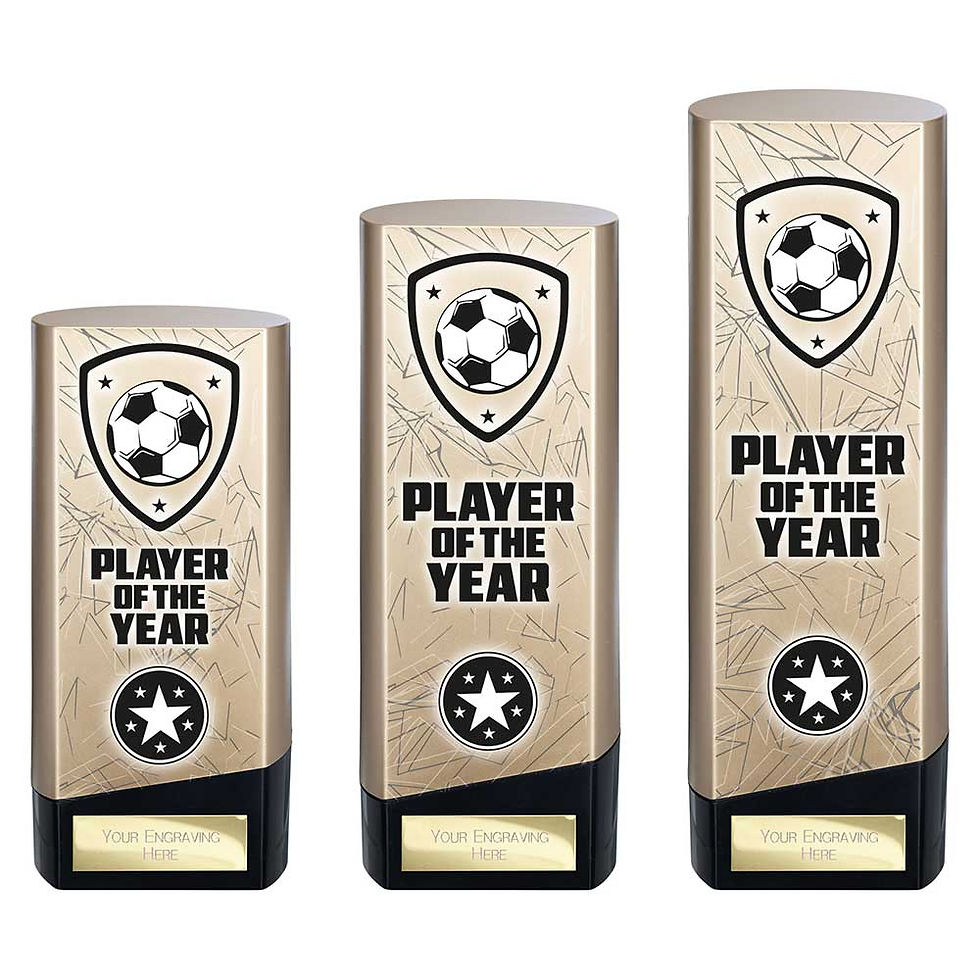 Thumbnail: Prime Heavyweight - Player of the Year