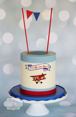 Airplane Shower Cake
