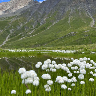 Aussicht Piz Curvèr
