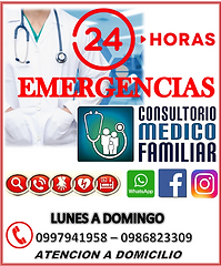 EMERGENCIAS pdf.png