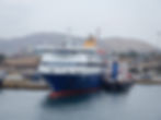 BLUE STAR CHIOS