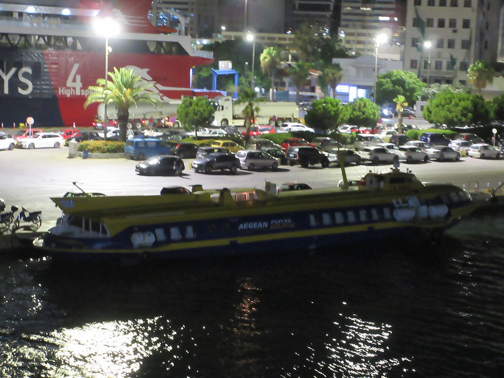 FLYING DOLPHIN VENUS I