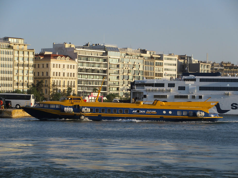 FLYING DOLPHIN VENUS I