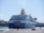 BLUE STAR CHIOS