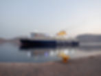 BLUE STAR CHIOS