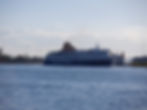 BLUE STAR CHIOS