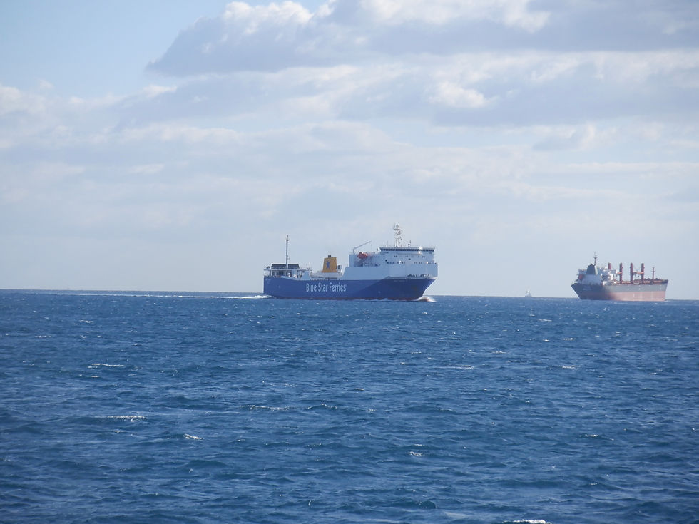 BLUE CARRIER 1