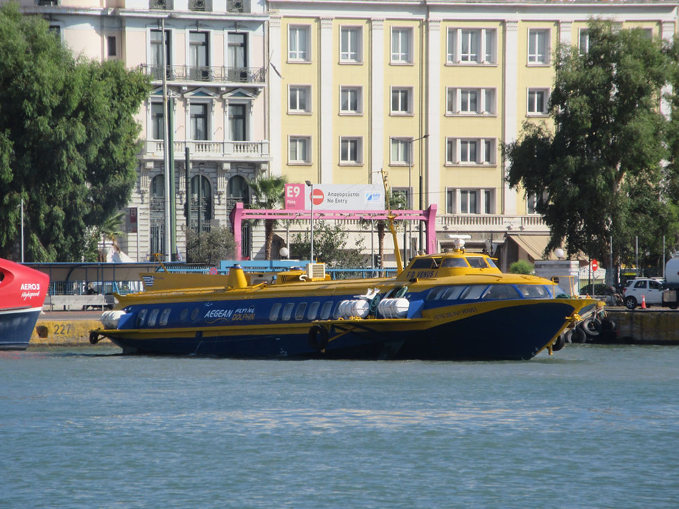 FLYING DOLPHIN VENUS I