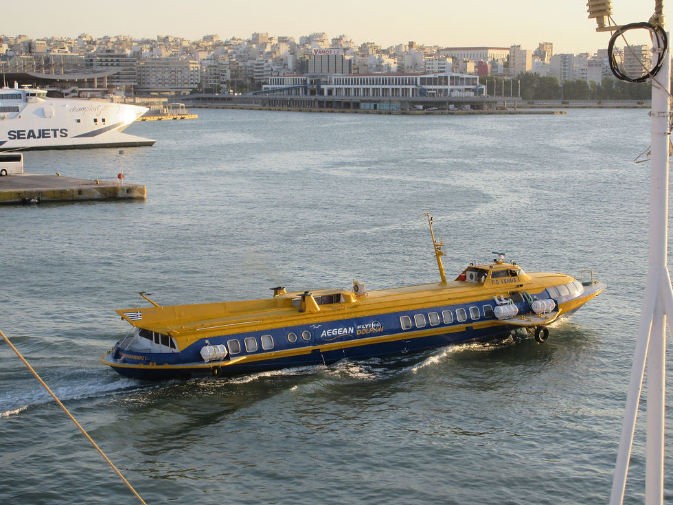 FLYING DOLPHIN VENUS I