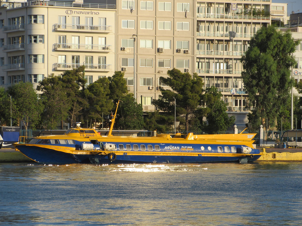 FLYING DOLPHIN VENUS I