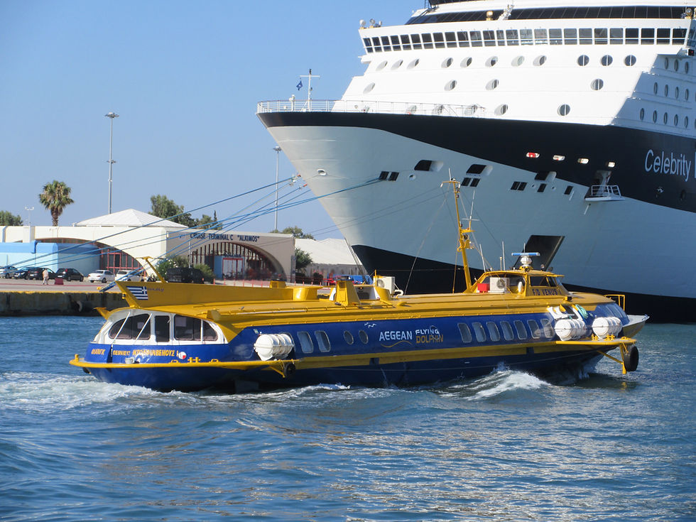 FLYING DOLPHIN VENUS I