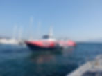 FLYING DOLPHIN XIX