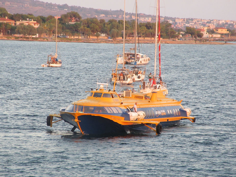 FLYING DOLPHIN VENUS I