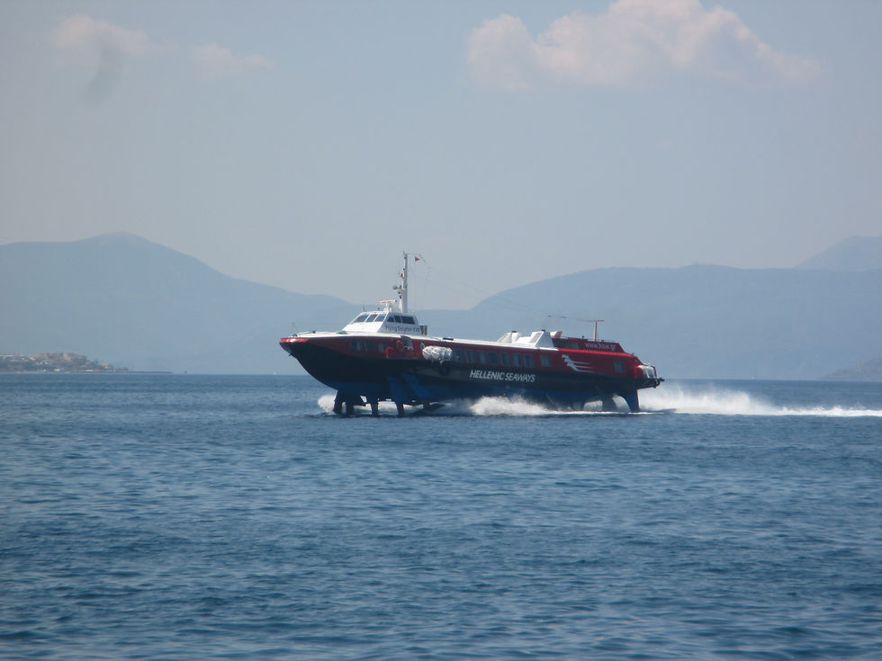 FLYING DOLPHIN XVII