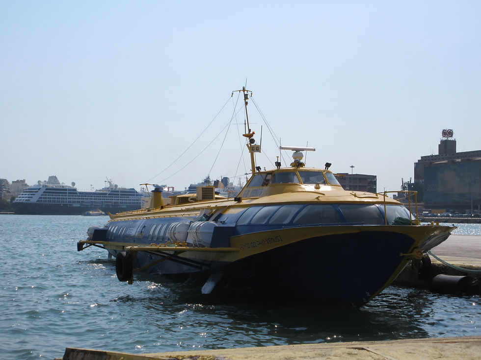 FLYING DOLPHIN VENUS I