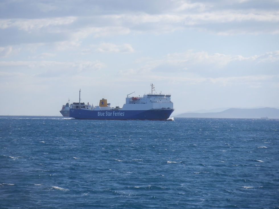 BLUE CARRIER 1