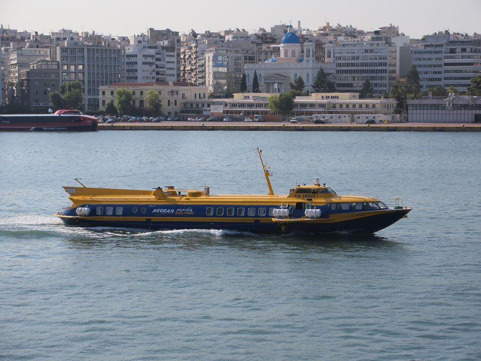 FLYING DOLPHIN VENUS I