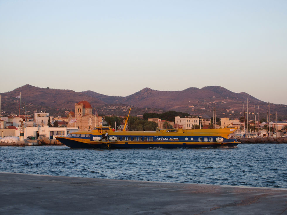 FLYING DOLPHIN VENUS I