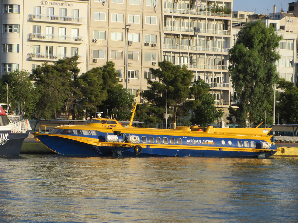 FLYING DOLPHIN VENUS I