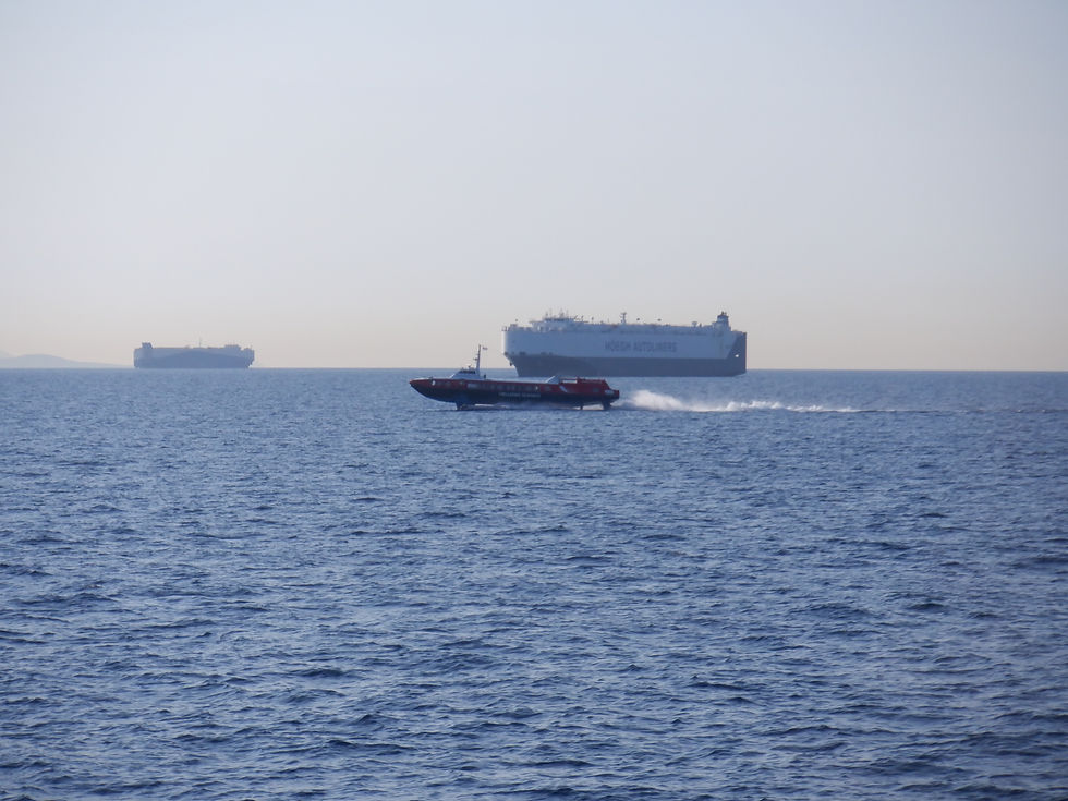 FLYING DOLPHIN XVII