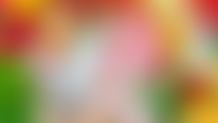 Decoding the Diet Battle: Vegan vs. Omnivorous – What You Need to Know