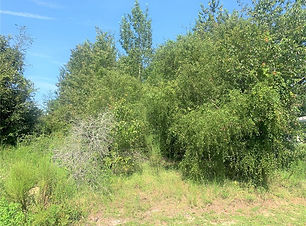 IMG_8627.jpg