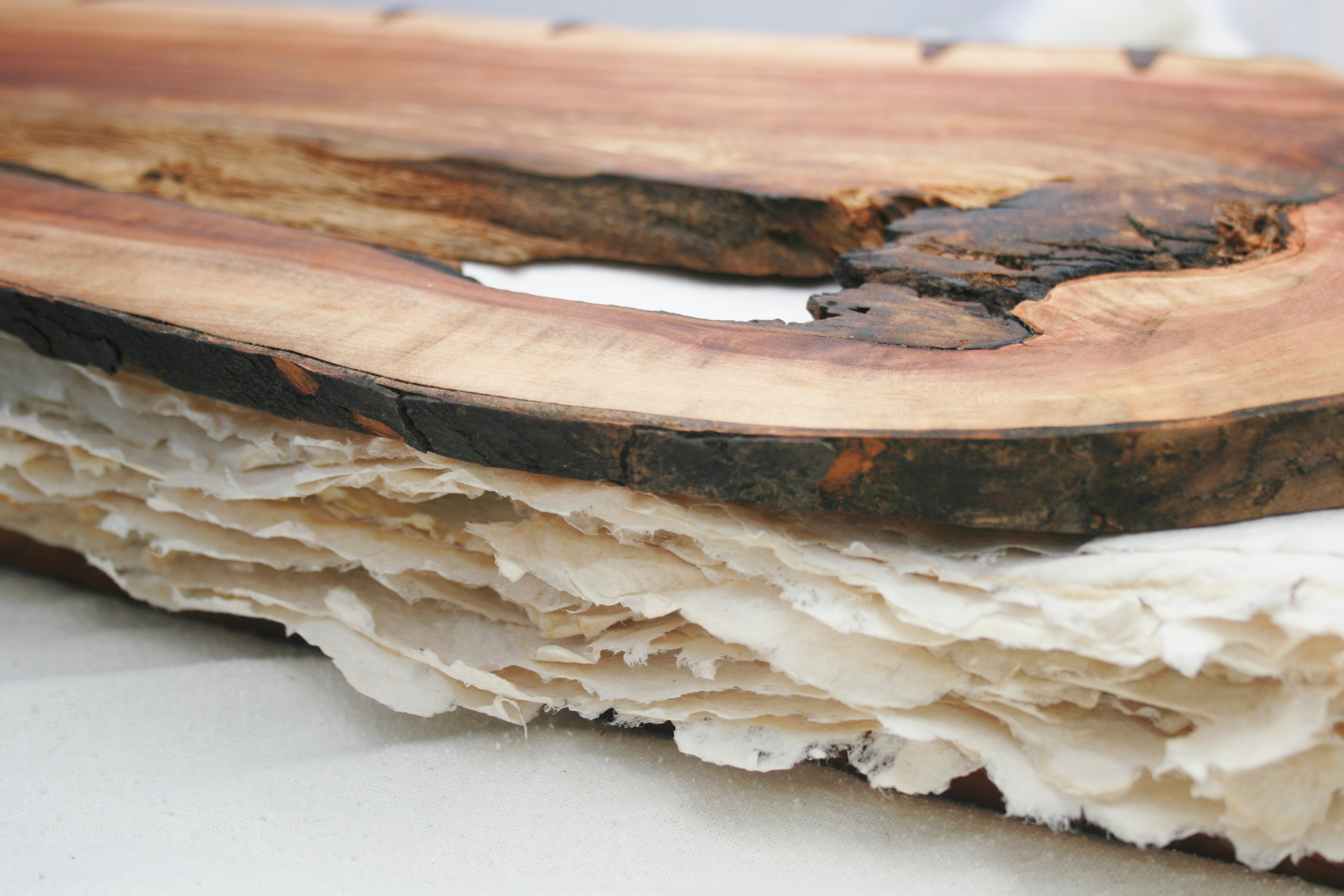 Large Applewood Book