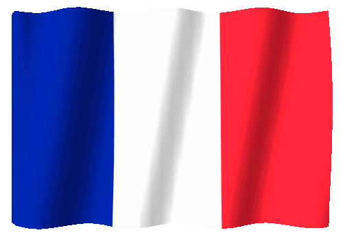 blendertimer-france-370.gif