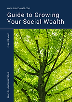 Social Wealth Guide cover.png