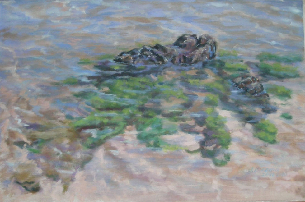 Piedras bajo el agua