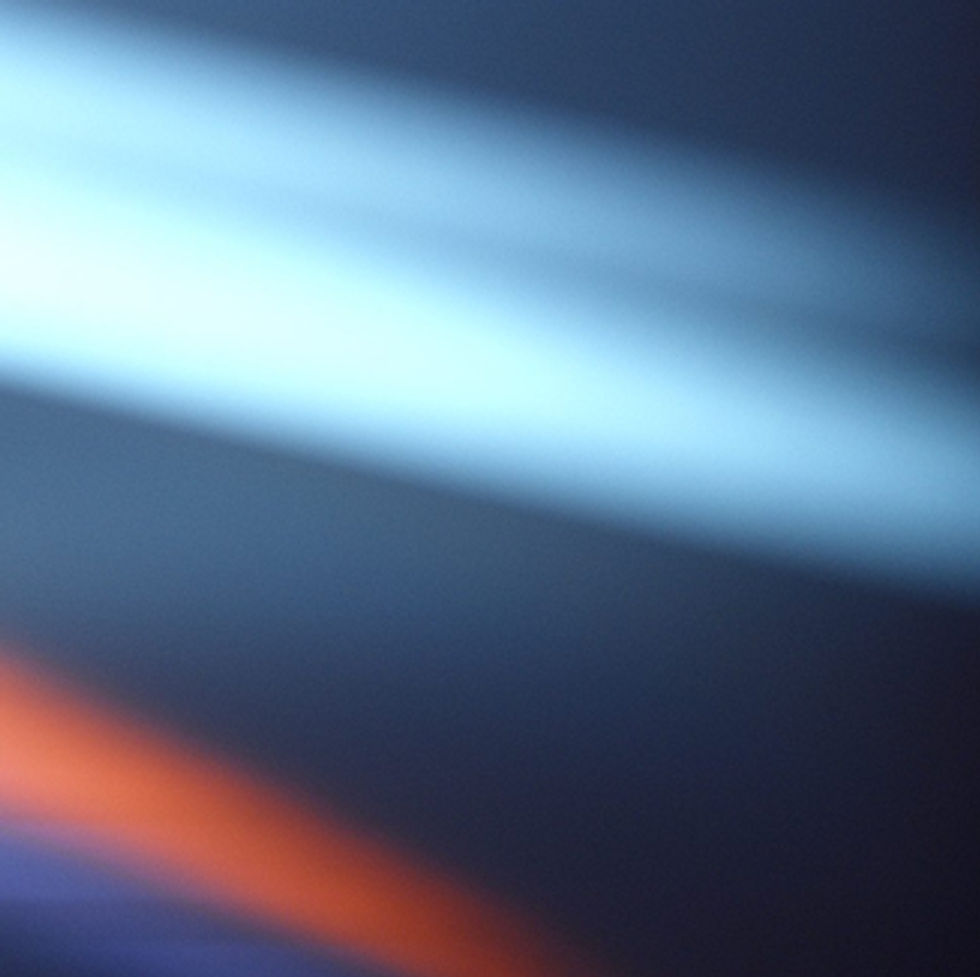 Anne Marie Almedal.jpg