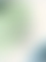 It’s the most wonderful time of the year