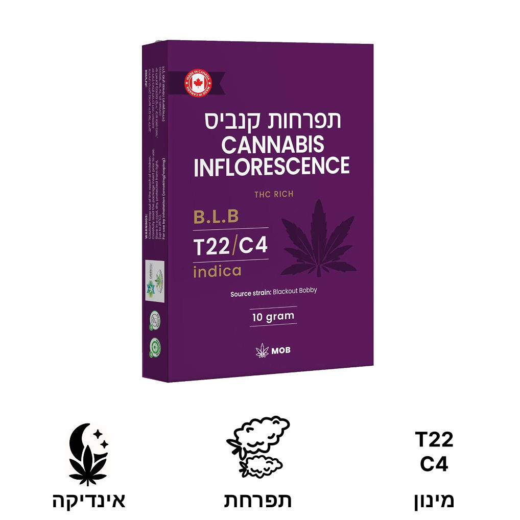 B.L.B |  בי.אל.בי