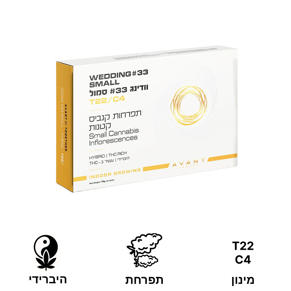 Wedding #33 small | וודינג #33 סמול