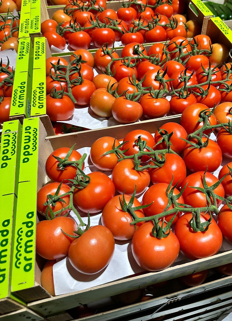 Tomates Armada