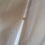 Thumbnail: 1900s Ivory Silk Taffeta Skirt