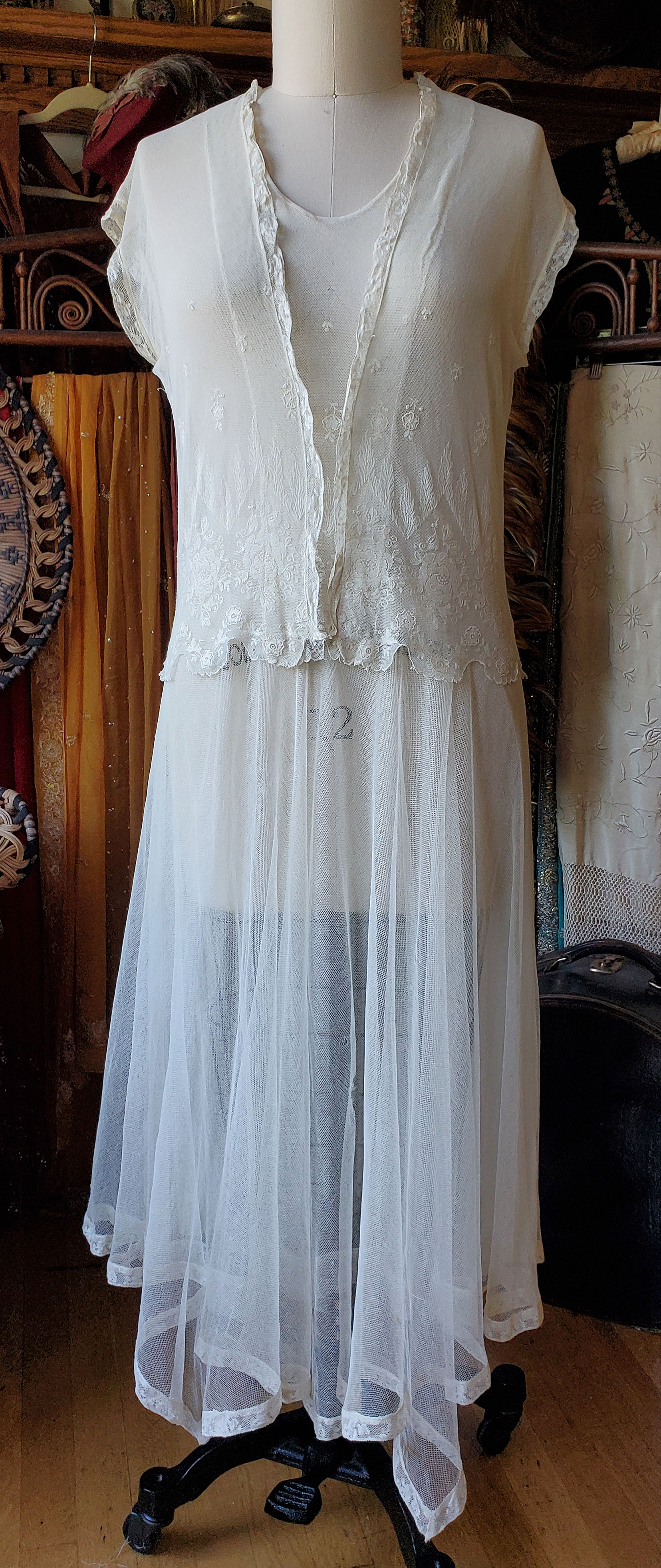 Embroidered Net Lace 1920s Dress