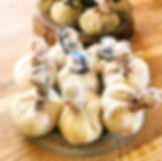 Formation BASTIS – POCHONS DE PLANTES & RIZ