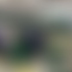 Implantación de exoesqueletos en el sector primario: jornada clave para cooperativas en Euskadi