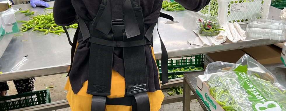 ExoKOOP: exoesqueletos de GOGOA para una agricultura sin dolor