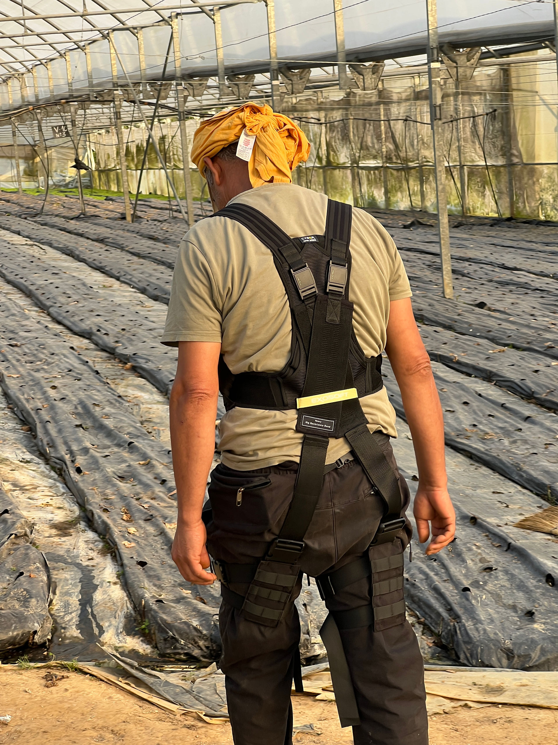 ExoKOOP: exoesqueletos de GOGOA para una agricultura sin dolor