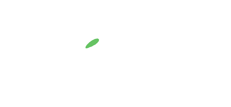 Zenger Hotel Logo
